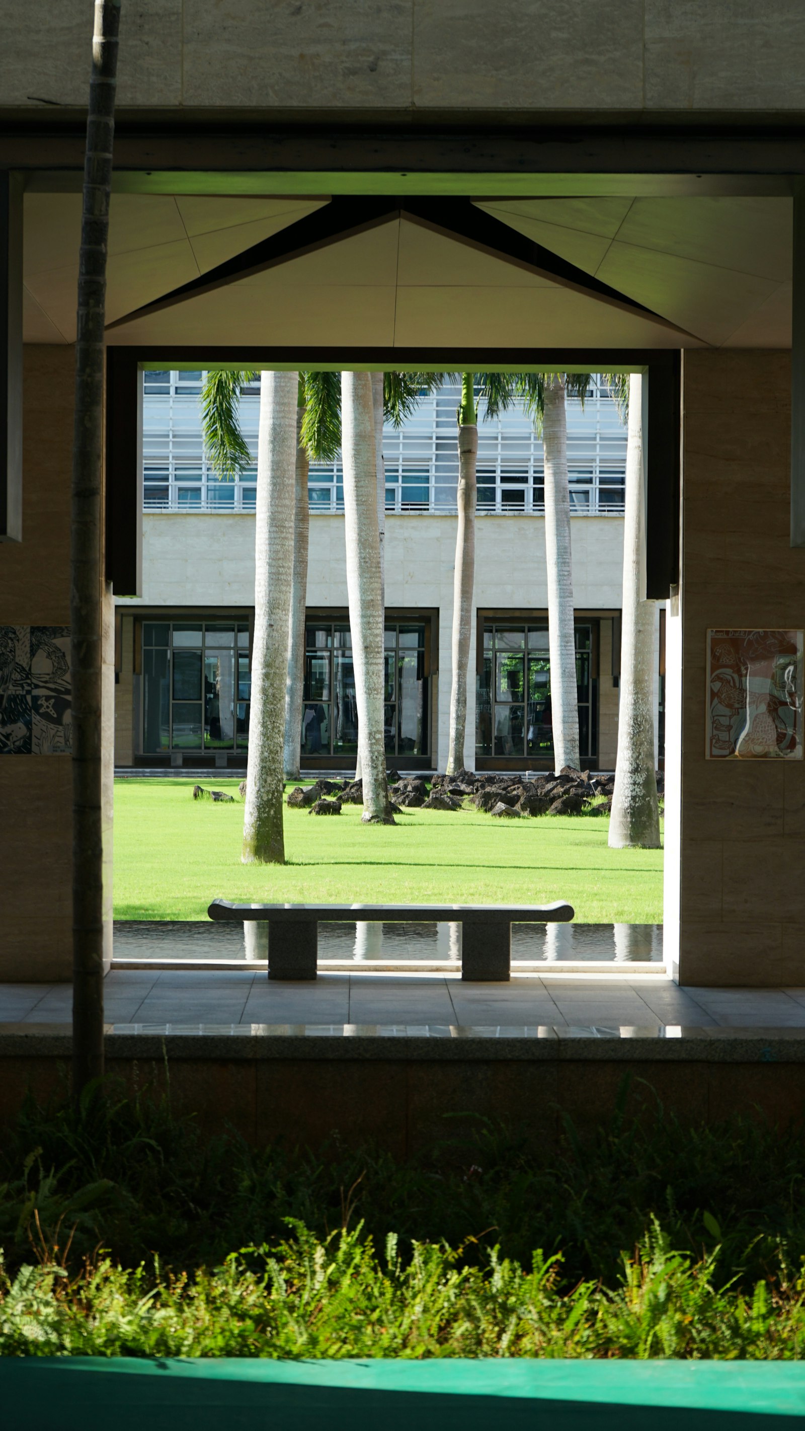 Apartment building courtyard with palm trees